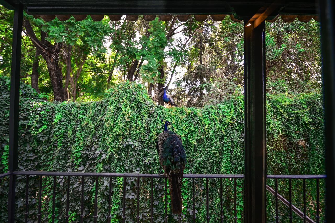 Hotel Legado Alcazar (Adults Only) Севілья Екстер'єр фото